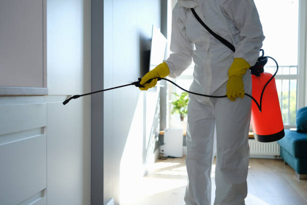 Best Mold Remediation Services  in Fullerton, NE